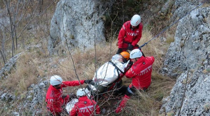Recuperat de salvamontişti din Defileul Jiului