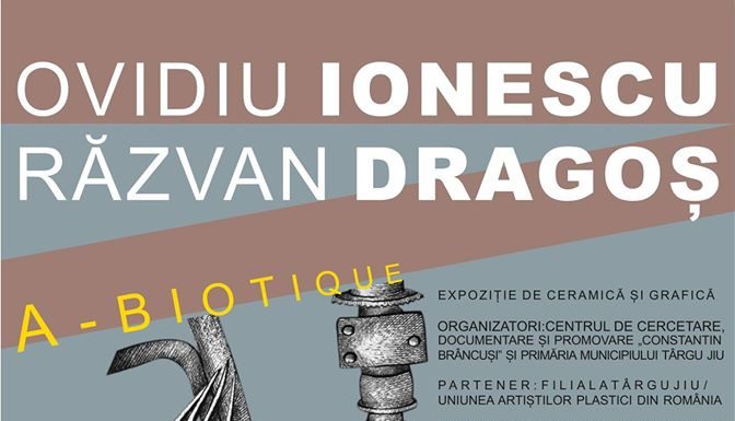 Vernisaj de arte vizuale, mâine, la Târgu Jiu