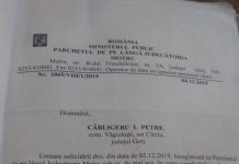 14 dosare penale pentru un furt de lemne la Văgiulești! Patru, trimise organelor competente, furtul cu autori neidentificați