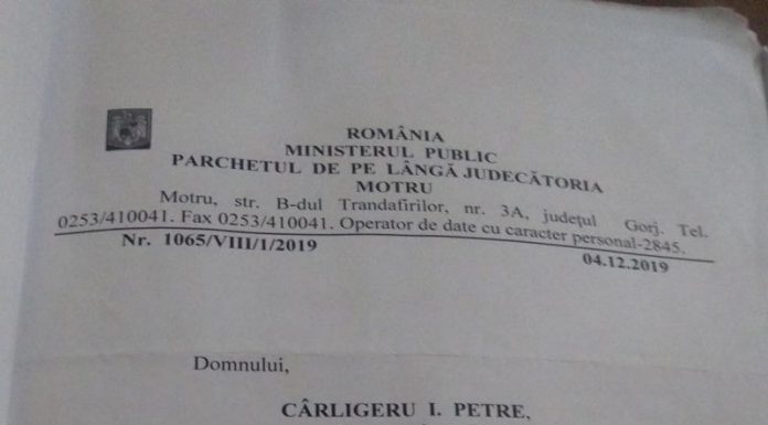 14 dosare penale pentru un furt de lemne la Văgiulești! Patru, trimise organelor competente, furtul cu autori neidentificați