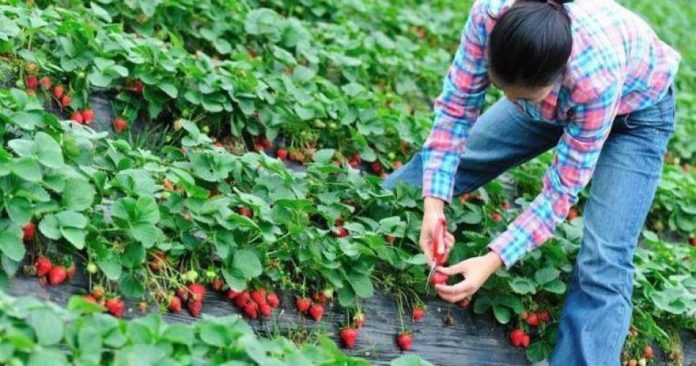 89c11b487dbc32067a0c8147ed82ef7c