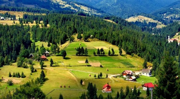 Proiectul interinstituţional ,,Cenaclul ARTE-Constantin Brâncuşi’’, demarat la Galeriile Municipale de Artă din Târgu-Jiu