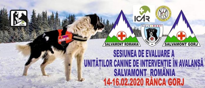 FB_IMG_1581669617580