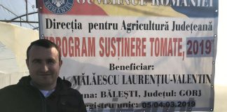 Subvenții mai mici pentru roșiile românești