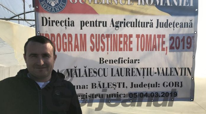 Subvenții mai mici pentru roșiile românești