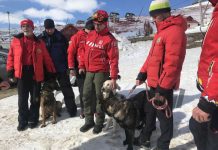 Evaluare a câinilor Salvamont, la Rânca