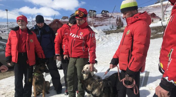 Evaluare a câinilor Salvamont, la Rânca