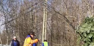 Brazi doborâți de vânt la Peștișani!