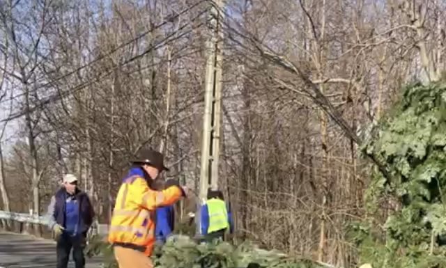 Brazi doborâți de vânt la Peștișani!