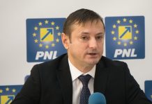 Un deputat PNL din Bacău susține că Brâncuşi este ,,la un pas de a primi recunoaşterea UNESCO’’