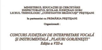 Concurs muzical judeţean, la Peştişani