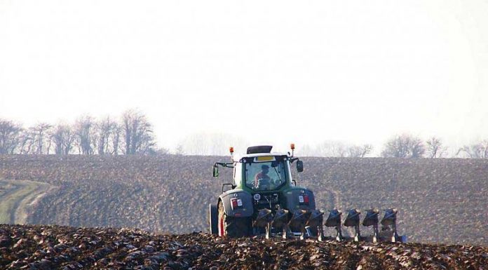 Agricultura pe înțelesul tuturor – Iarnă deosebită – grijă deosebită pentru lucrări agricole în repausul vegetativ