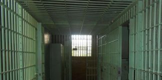 Tânărul fără permis, prins de poliţişti cu focuri de armă, pus în libertate