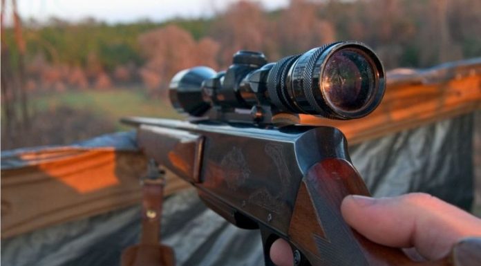 Cercetați pentru braconaj