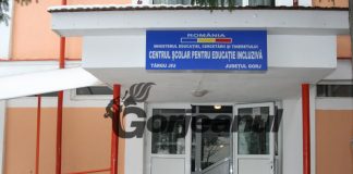 Concurs la Centrul Școlar pentru Educație Incluzivă Târgu-Jiu, pe un post de asistent social