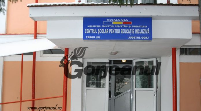 Concurs la Centrul Școlar pentru Educație Incluzivă Târgu-Jiu, pe un post de asistent social