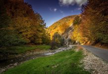 Consilierii locali, invitați să strângă gunoaiele