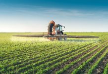 Agricultura pe înțelesul tuturor – Fertilizarea fazială a cerealelor păioase