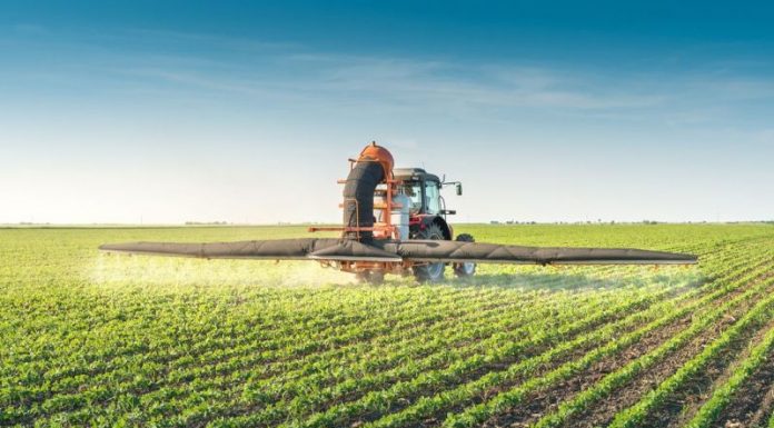 Agricultura pe înțelesul tuturor – Fertilizarea fazială a cerealelor păioase