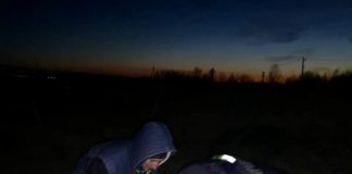 Ied salvat de pompieri, după ce a căzut într-o fântână adâncă de 10 metri din Scoarța