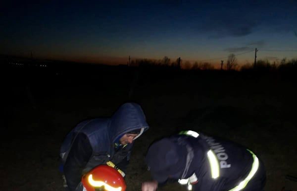 Ied salvat de pompieri, după ce a căzut într-o fântână adâncă de 10 metri din Scoarța