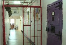 Ilfovenii reținuți în Târgu-Jiu, pentru furt și înșelăciune, puși sub control judiciar