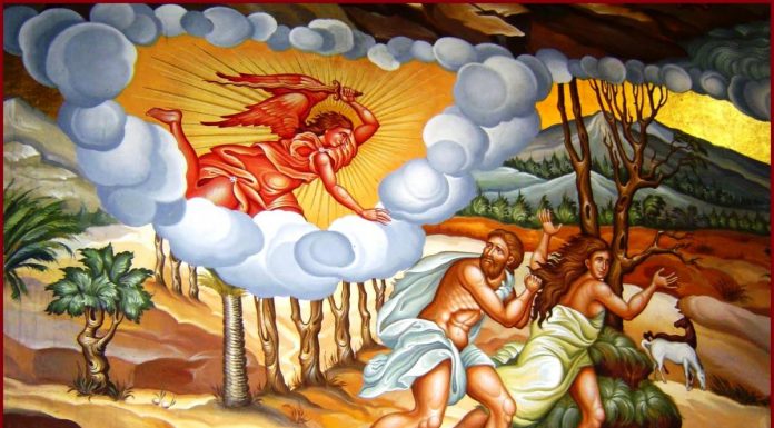 Lumina, şi Adevărul, şi Viaţa – Dumnezeul nostru este Dumnezeul rânduielii, al ordinii şi al iertării, nu al indisciplinei, nu al neorânduielii apăsată de umbra păcatului!