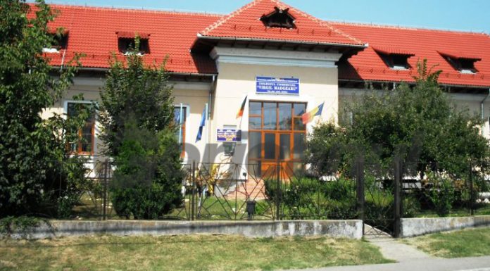 Post vacant de îngrijitor, la Colegiul Economic „Virgil Madgearu”