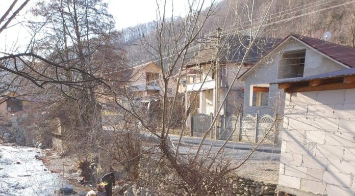 Două ore de curățenie, la Padeș