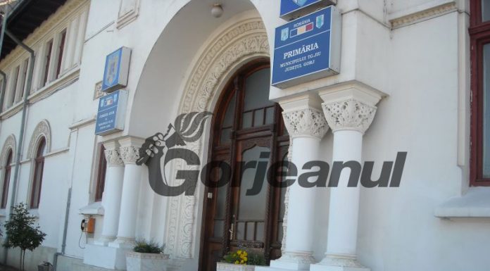 Un nou administrator public la Târgu Jiu