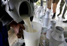 Centru de prelucrare a laptelui din Gorj, cu activitatea suspendată! Amenzi consistente şi pentru unităţi de alimentaţie!