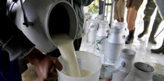 Centru de prelucrare a laptelui din Gorj, cu activitatea suspendată! Amenzi consistente şi pentru unităţi de alimentaţie!