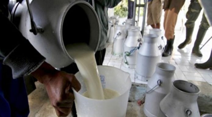 Centru de prelucrare a laptelui din Gorj, cu activitatea suspendată! Amenzi consistente şi pentru unităţi de alimentaţie!