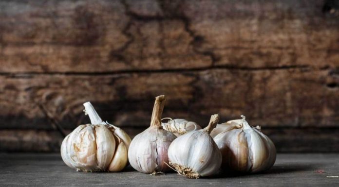 Subvenţia la usturoi continuă şi în 2020!