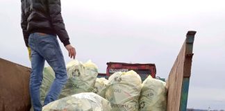 Drumul dintre Colibași și Bobu, igienizat voluntar de angajații primăriei și câțiva salariați de la 416