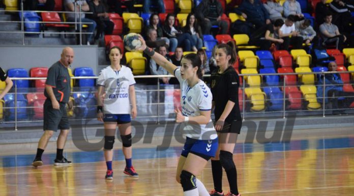 Federaţia de Handbal analizează posibilitatea reluării sezonului