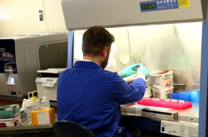 90591072_504211523569161_279499231624953856_n