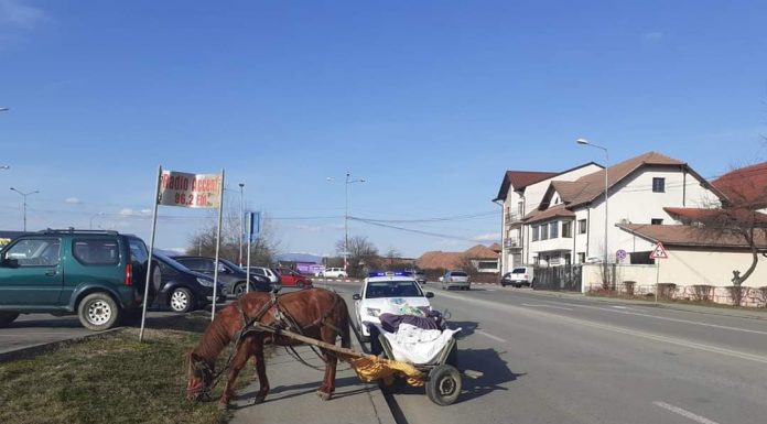 Târgujiancă ce transporta haine vechi, amendată de Poliția Locală Târgu Jiu