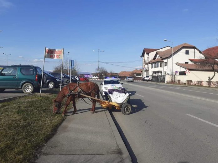 FB_IMG_1583052579843