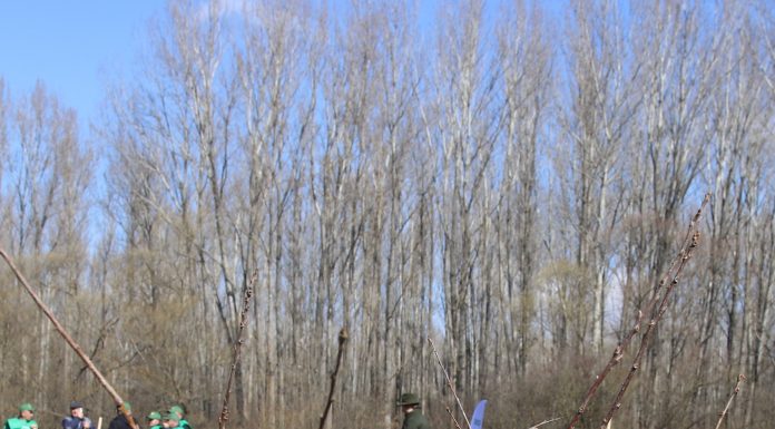 Comunicat de presă Regia Națională a Pădurilor