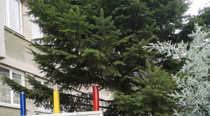 Anunț important făcut de IPJ Gorj