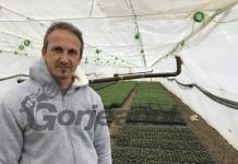 Verdețuri direct de la producătorii gorjeni!