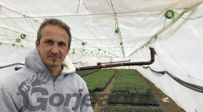 Verdețuri direct de la producătorii gorjeni!