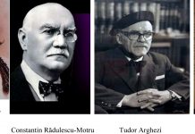 Olteni Despre Tipologia Olteanului