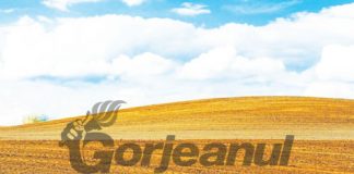 Păşuni şi terenuri arabile, vândute la preţuri infime de Finanţele din Gorj