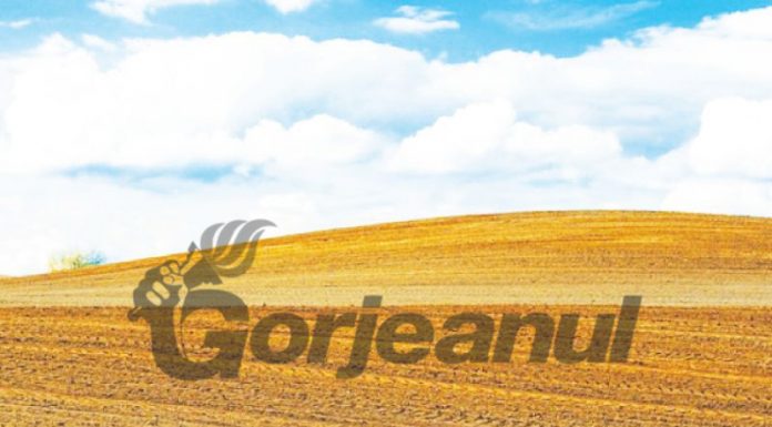 Păşuni şi terenuri arabile, vândute la preţuri infime de Finanţele din Gorj