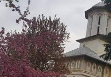 Rugăciune națională, de Buna Vestire