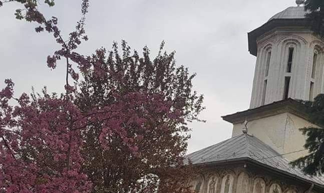 Rugăciune națională, de Buna Vestire