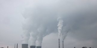 Ordonanța pentru CEO, adoptată de Senat