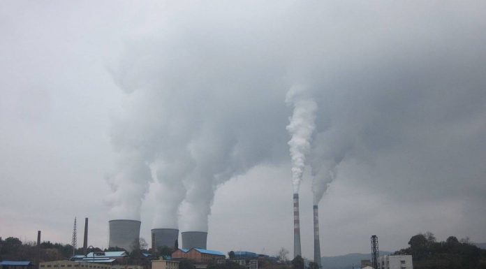 Ordonanța pentru CEO, adoptată de Senat